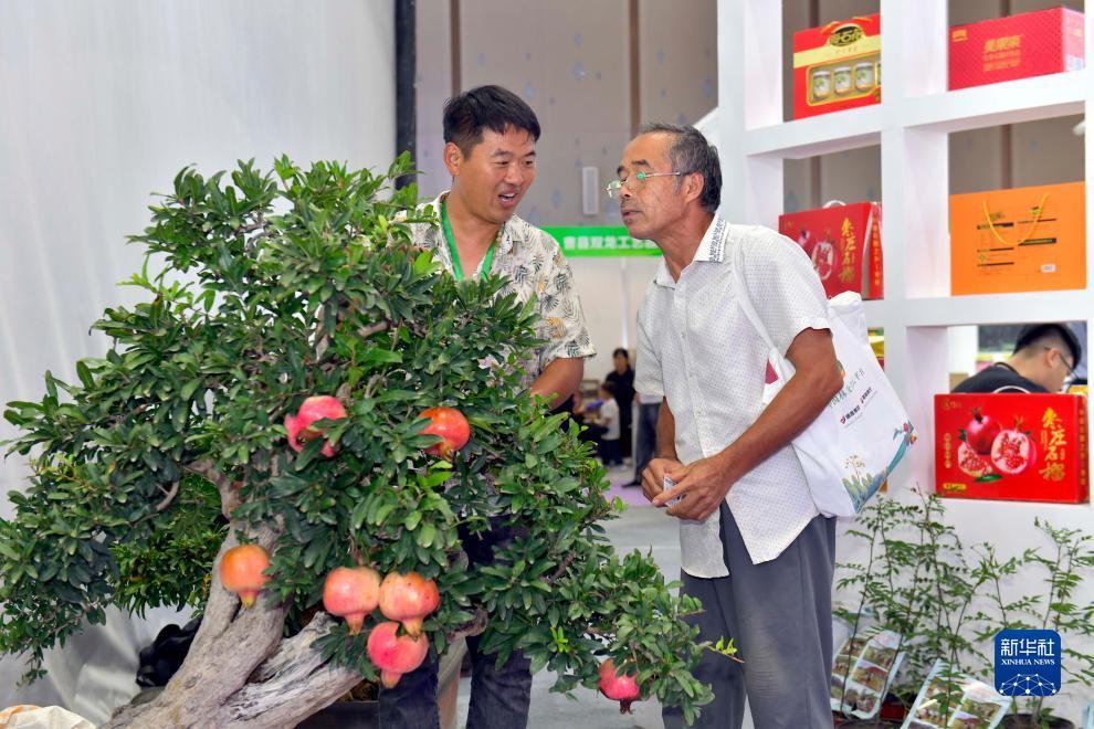 十三人葫芦鱼可以破解吗